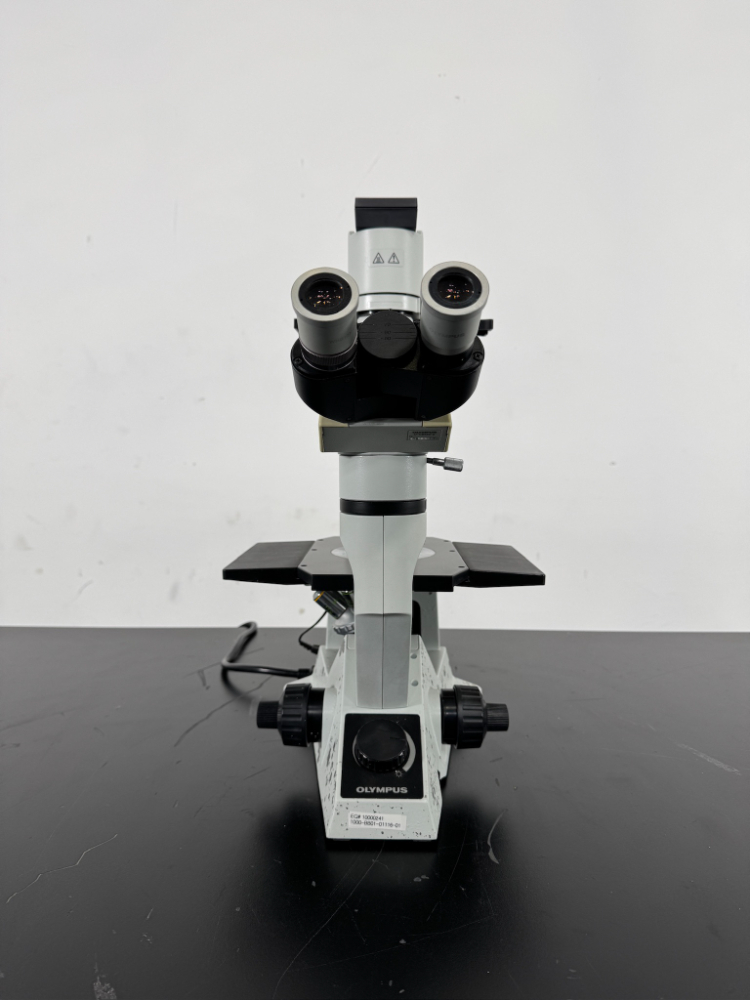 Image of Olympus CKX41 Inverted Microscope